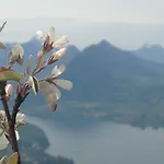Le Sourire Du Lac