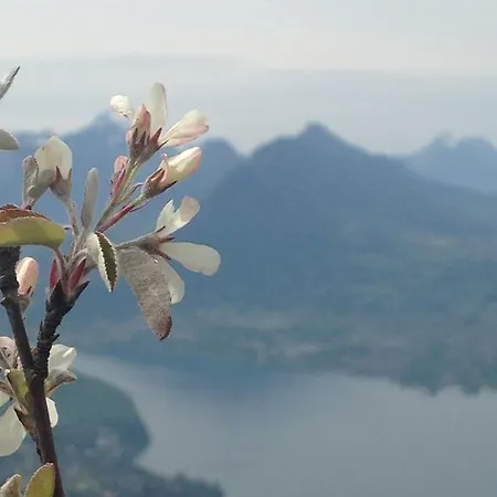 Le Sourire Du Lac